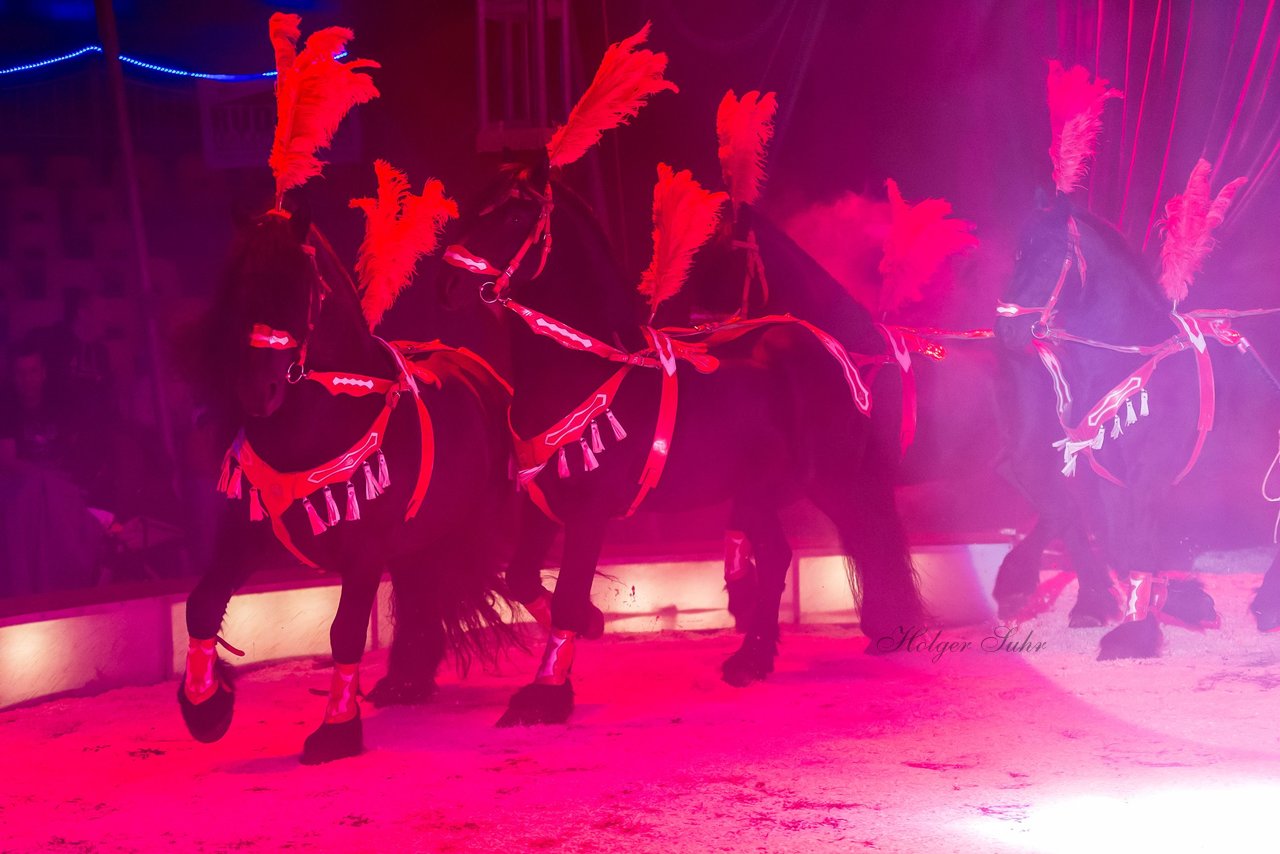 Bild 61 - Circus Europa